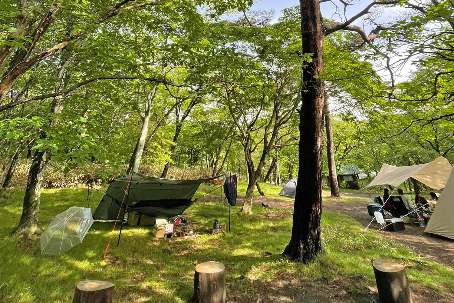 林間フリーサイト